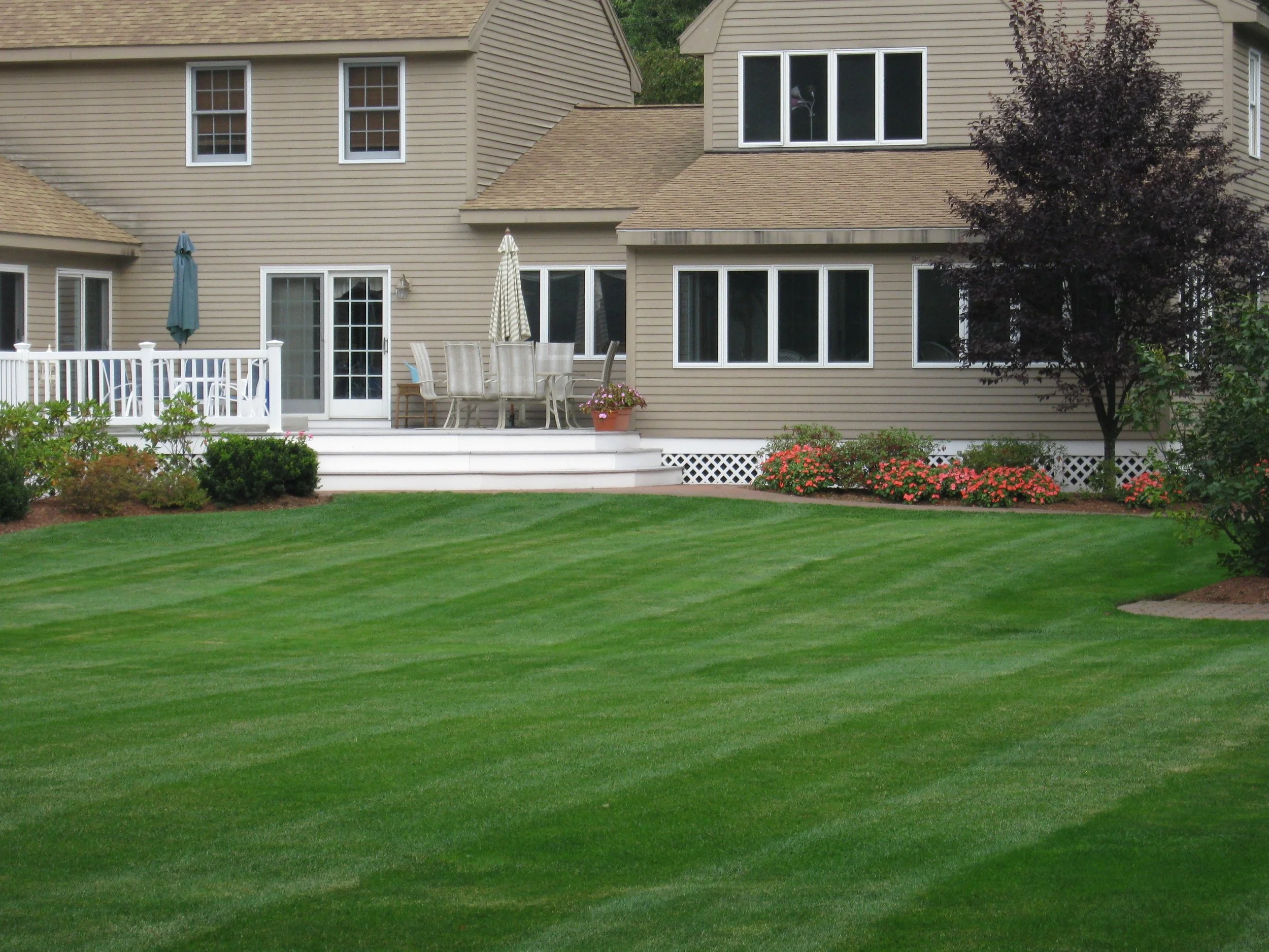 Fight Back the Annoying Bugs With a Pest Control Company in the Lexington and Needham, MA Areas