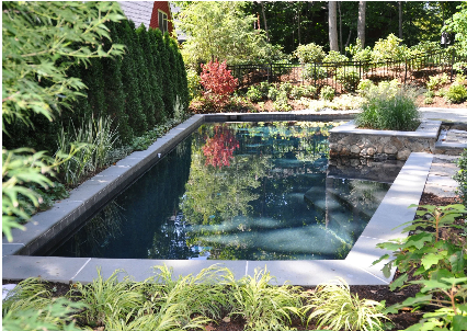 Tree and Shrub Care Services in Rutland, MA: What a Full Year of Plant Health Care Looks Like