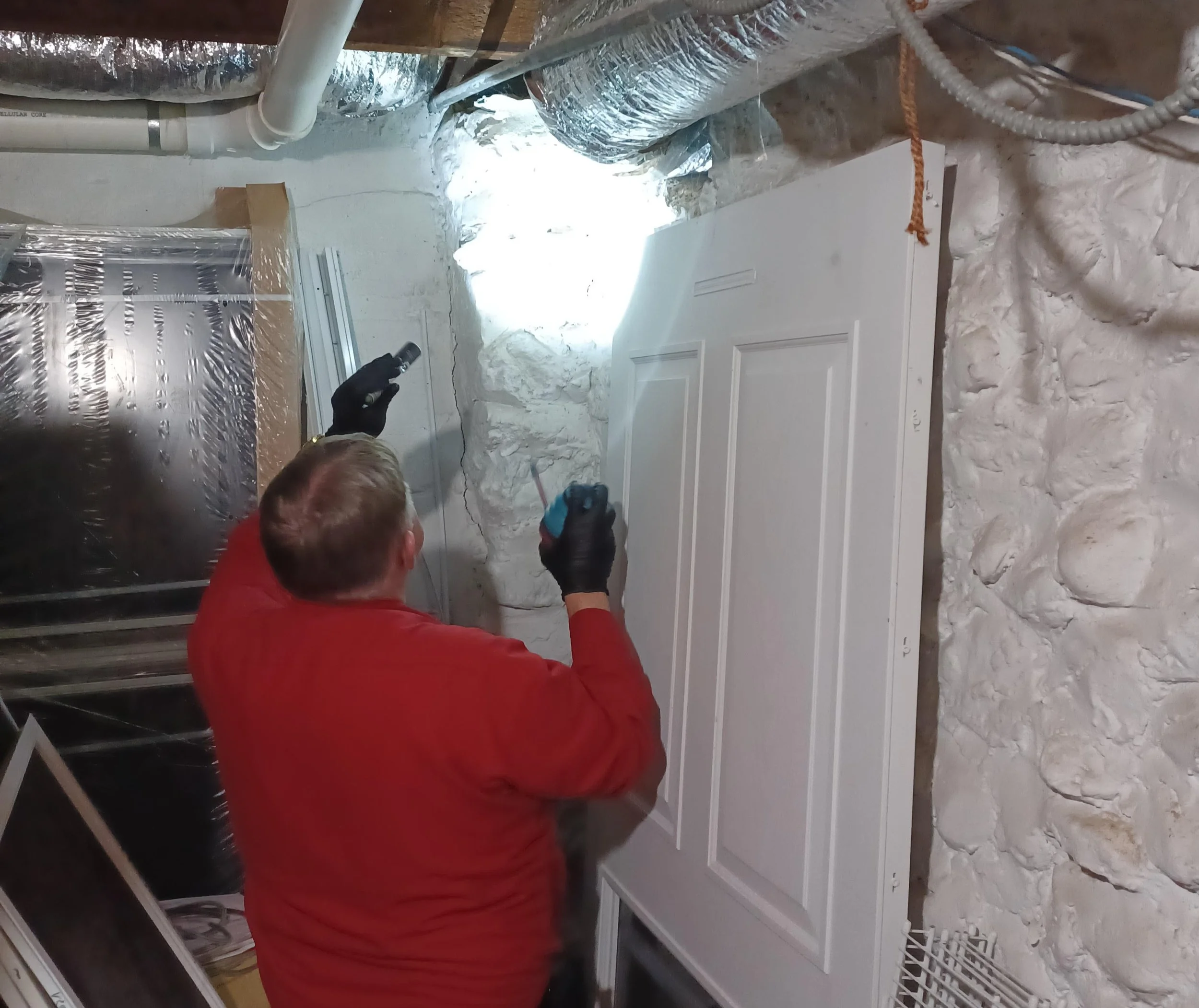 Lexington and Wellesley, MA: Effective Pest Control for a Healthy Home