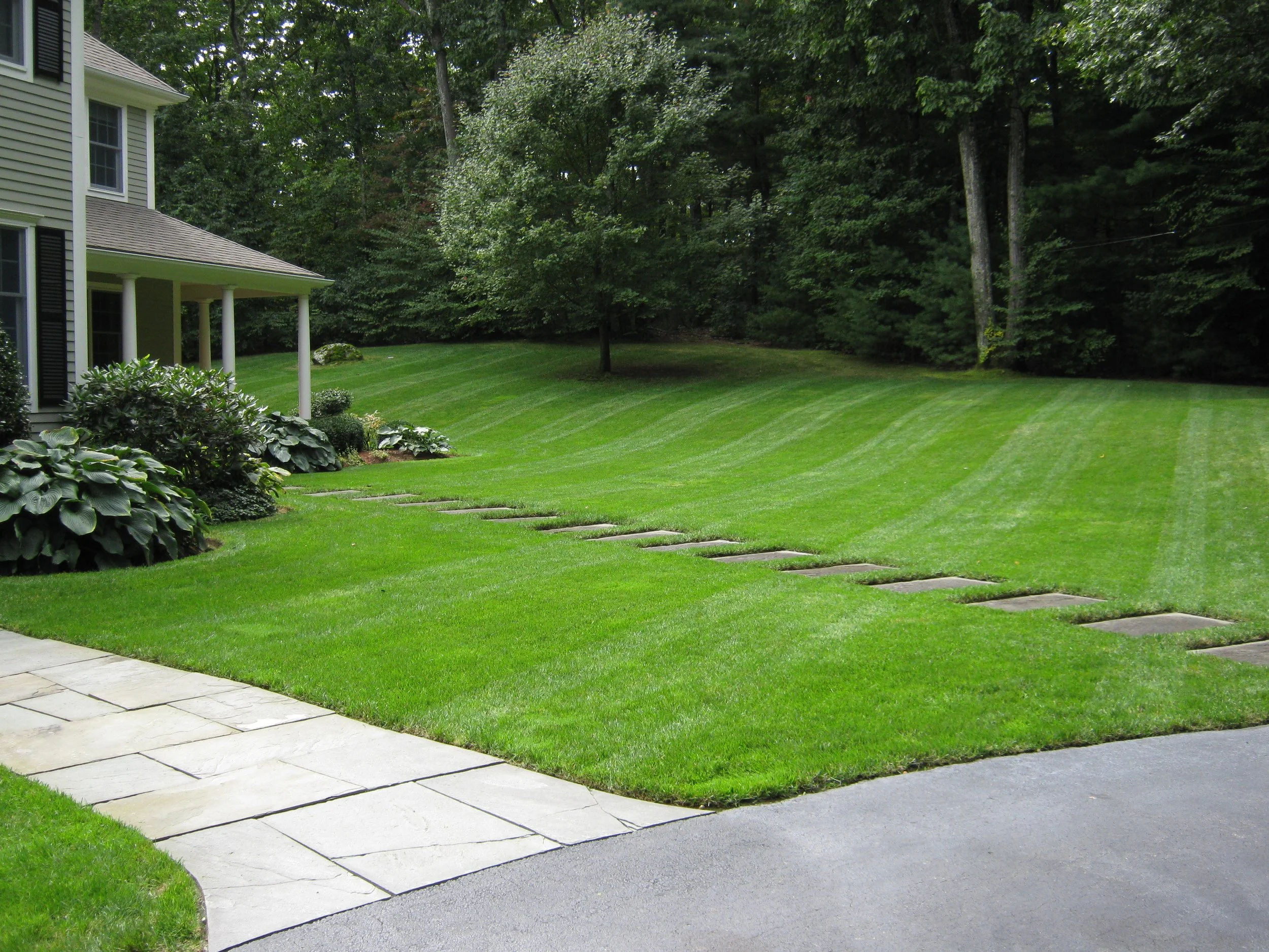 The Secret to a Lush Lawn in Newton and Sudbury, MA: Expert Lawn Care