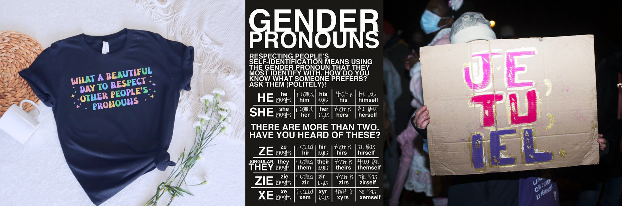 trans pronouns / pronoun definition / feminism / femellism / trans woman / transidentified man / transfeminine male