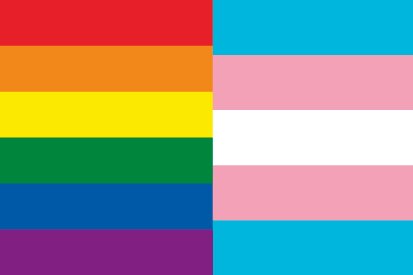 Quelle est la différence entre homosexualité et transidentité ?