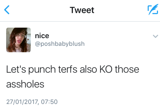 punch-terfs.png