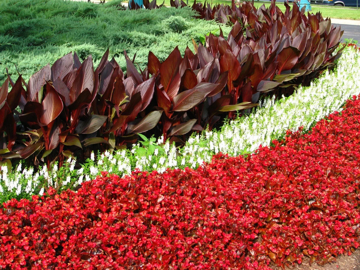 Commercial landscaping company in Kansas City, MO