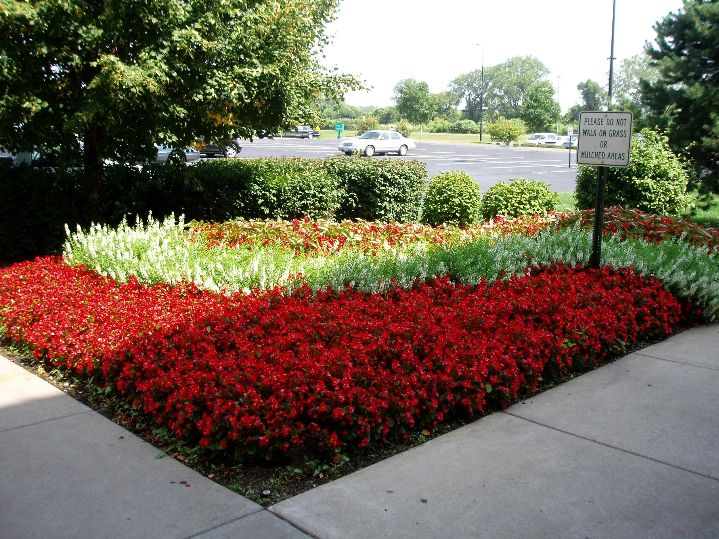 commercial landscaping