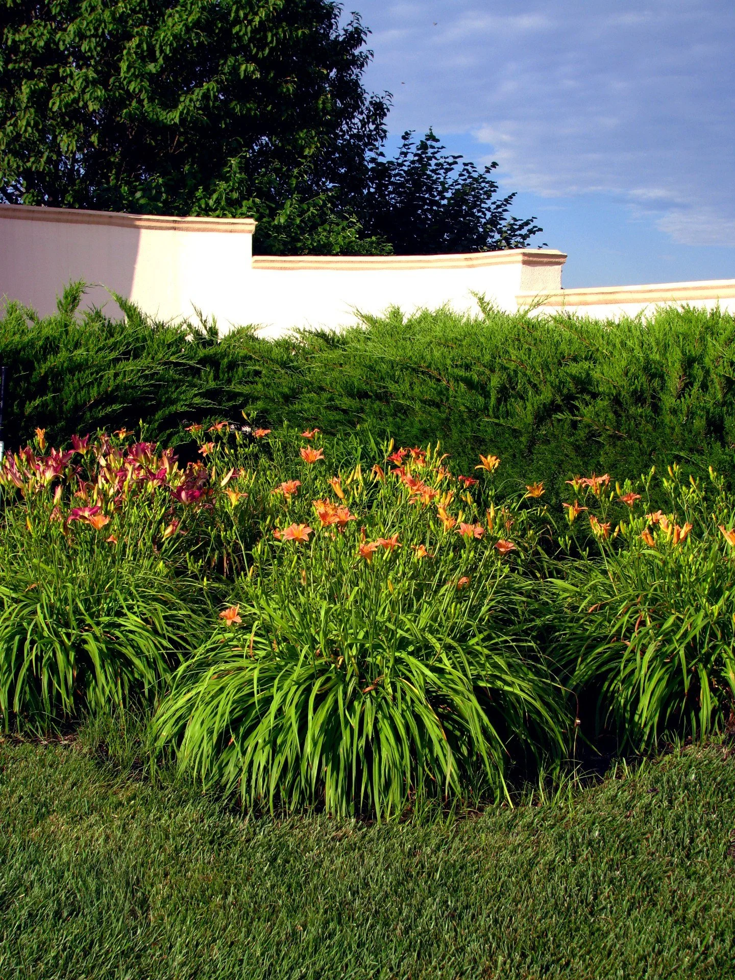 Commercial landscape plantings in Kansas City, MO