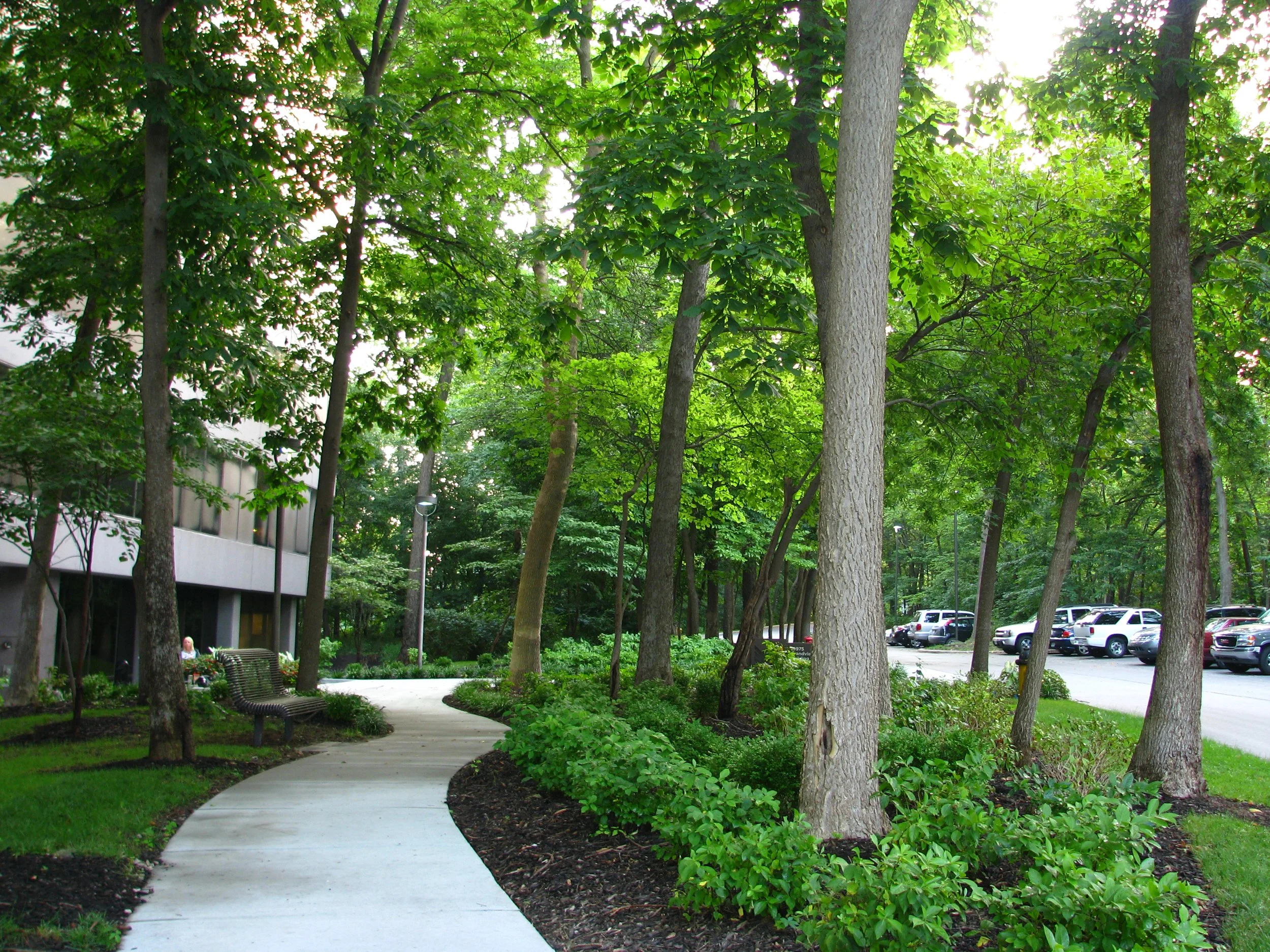 commercial tree trimming