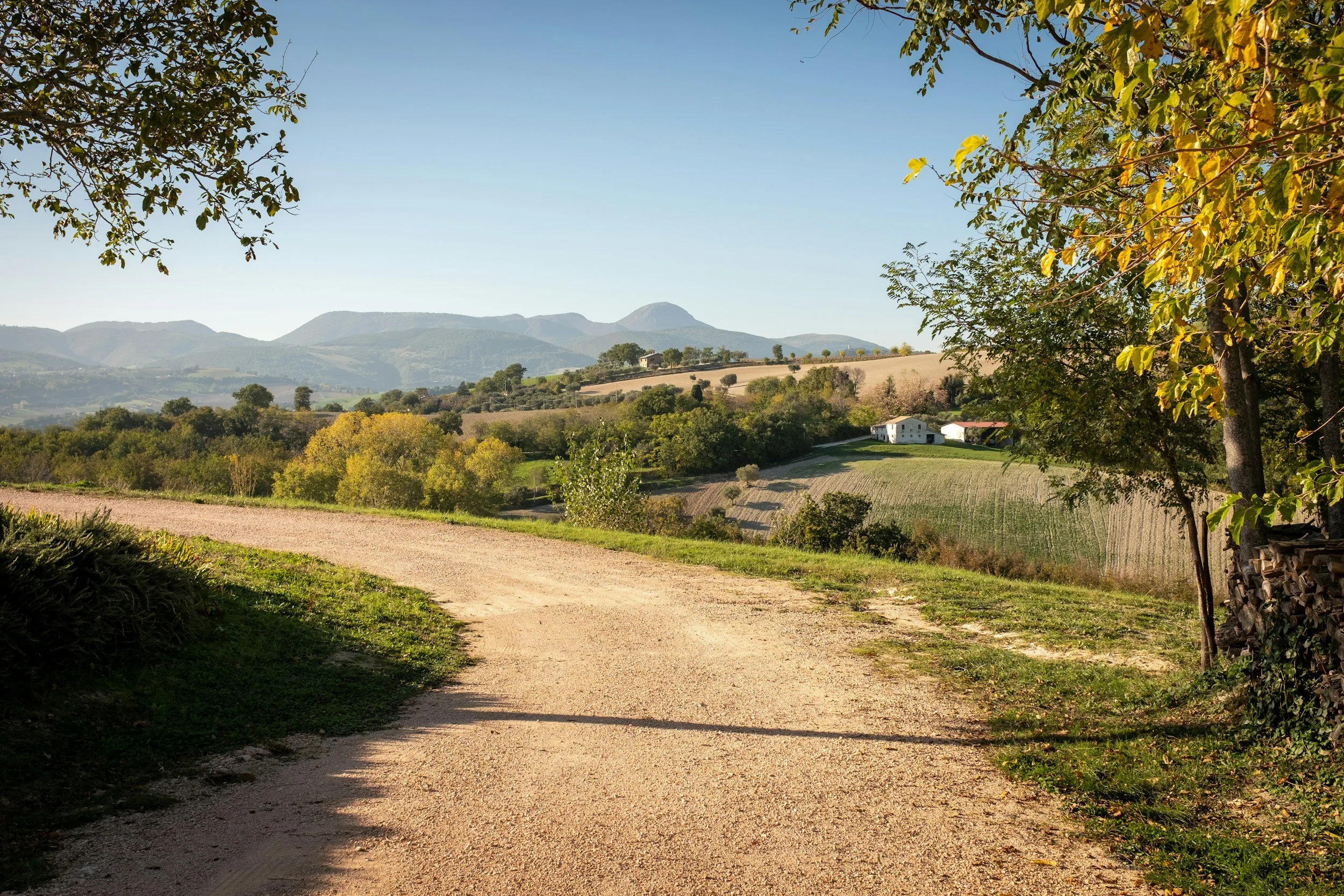 optimising-your-mobility