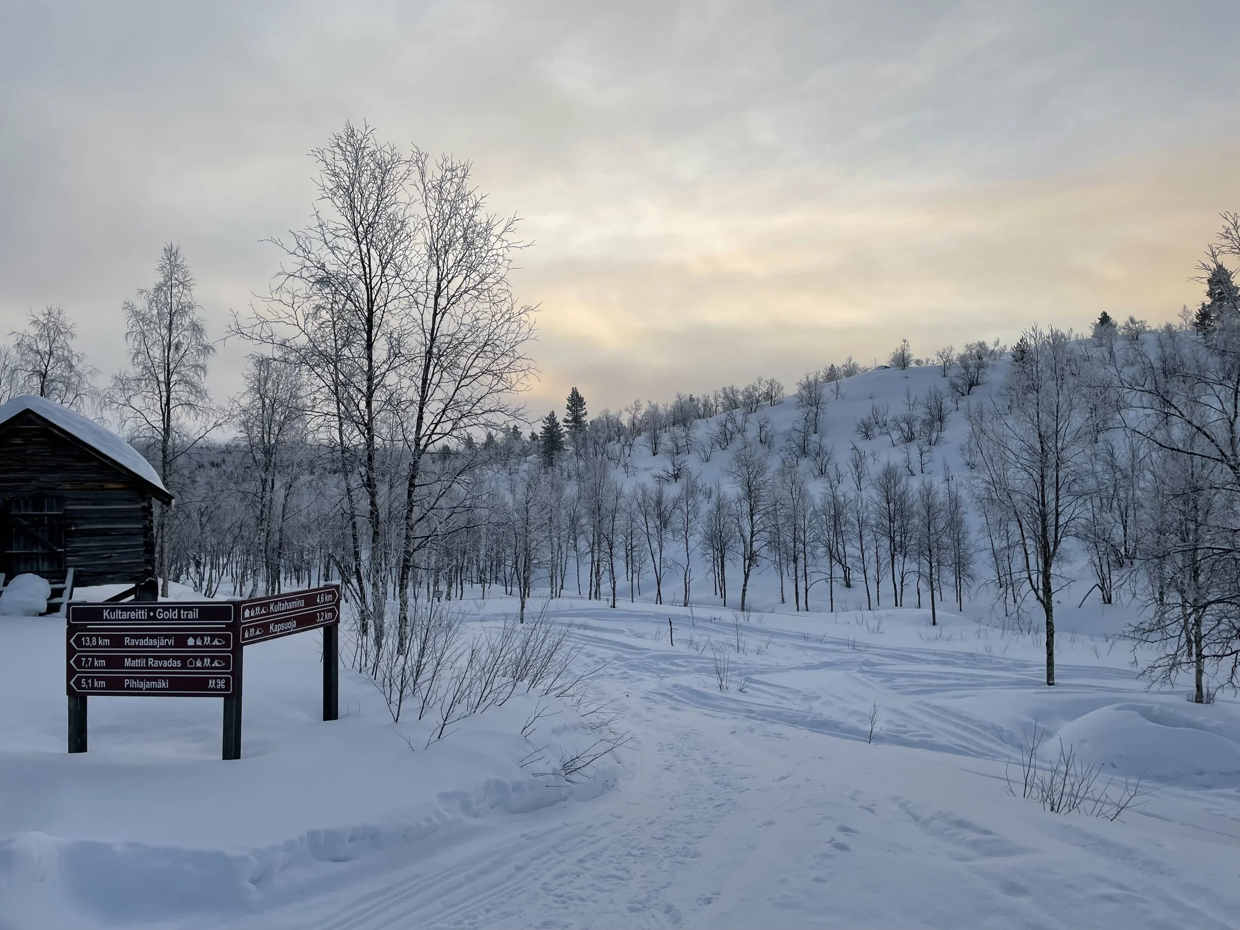 lemmonjoki-national-park-cross-country-skiing