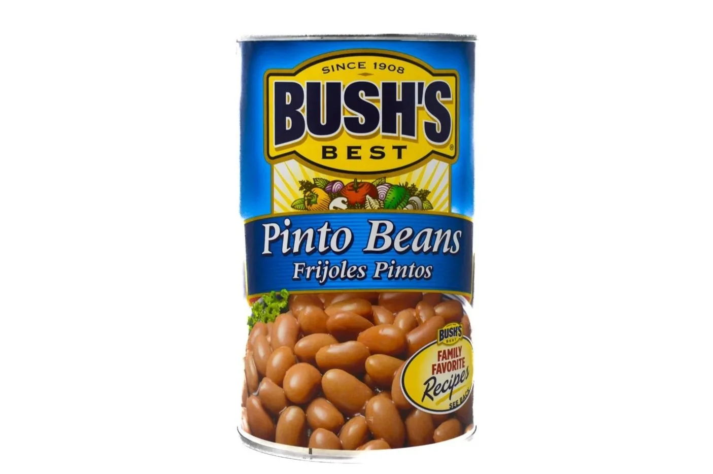 Bush Pinto Beans 53oz