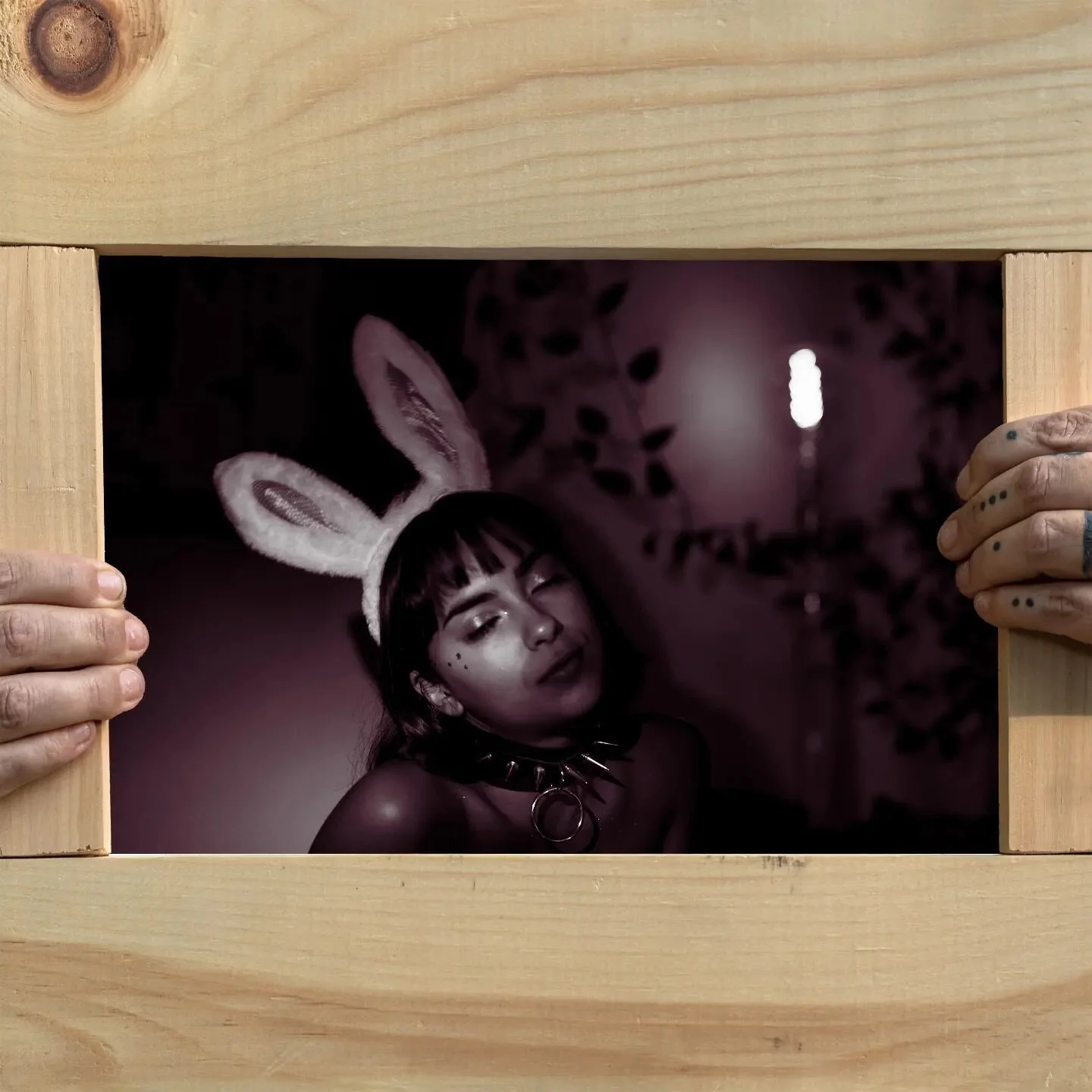 012: The Bunny (outtake)

👐: @boardbe1 
👤: @yaya.shmoney

#photography #photooftheday #bunny #spikes #collar #sony #dreambunny