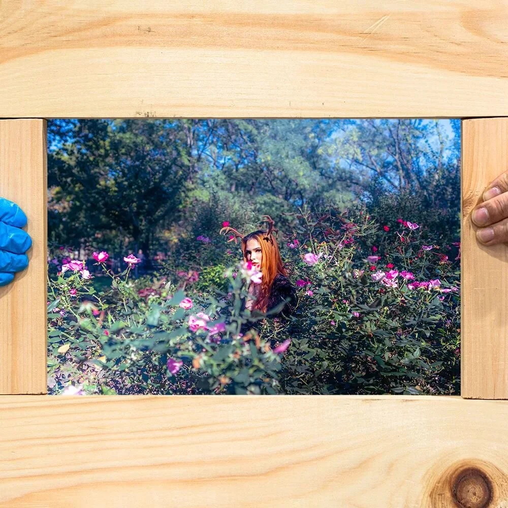 004: The Garden

👐: @the504nyc 
👤: @samthehotmess 

#photography #thegarden #nyc #roses #antlers