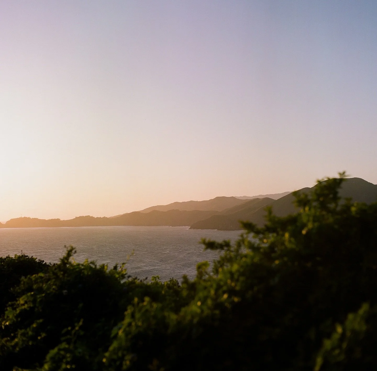 Some film scans from awhile back for @fourseasons @fsembarcadero 

Dev and scan by @nicefilmclub 

&bull;
&bull;
&bull;
&bull;
&bull;
#hotelphotography #fourseasons #fsembarcadero #nicefilmclub #hospitalityphotography #mediumformat #yashicamat124g #k