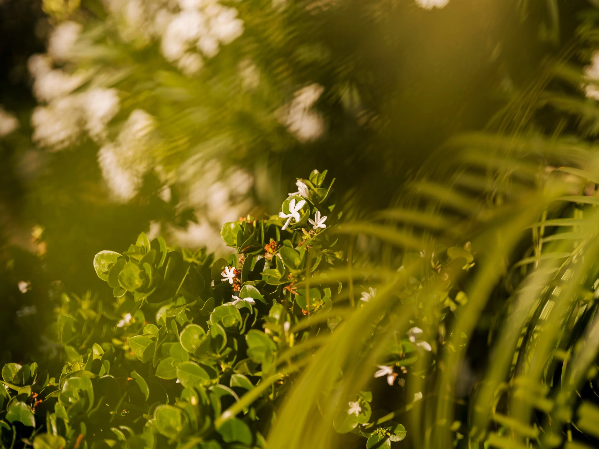 5.16.25-CivanaResort-116.jpg