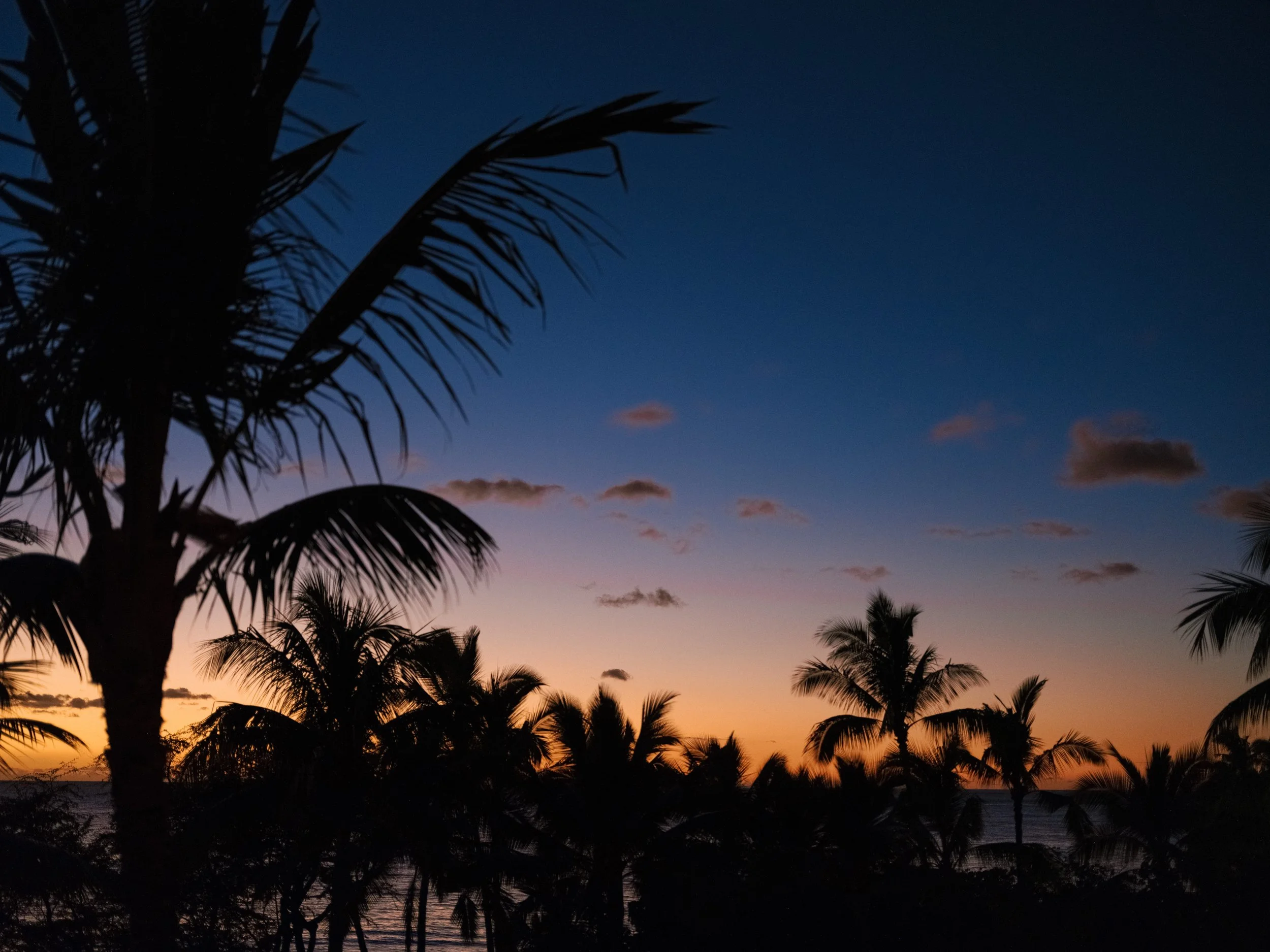 10.3.25-FSOAHU-44.jpg