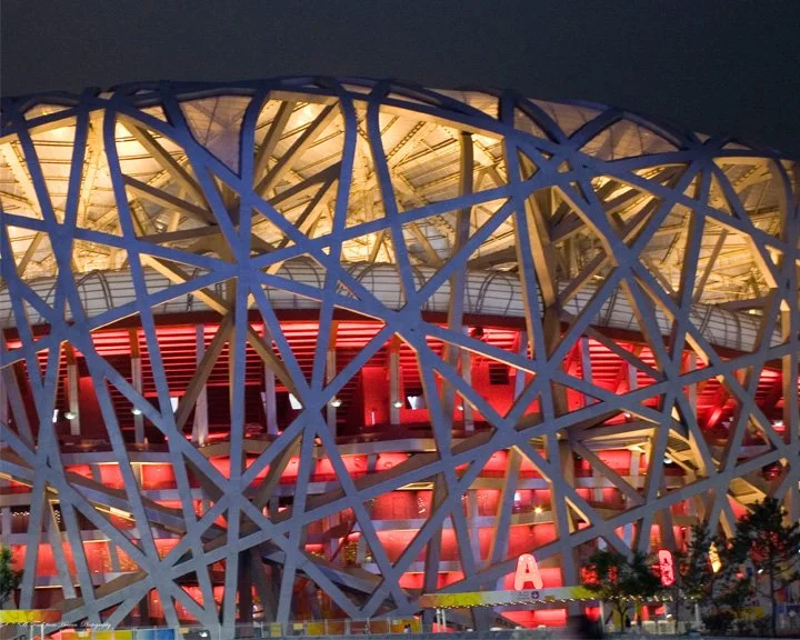 The Birds Nest