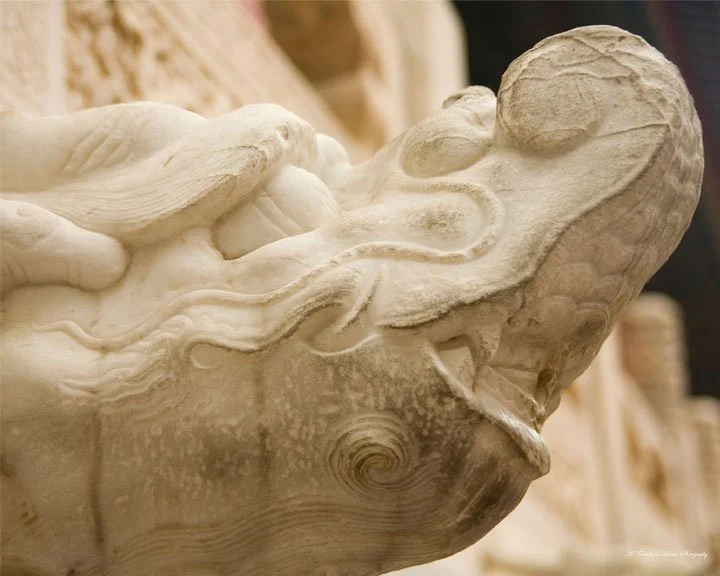 Elephant with a Purpose