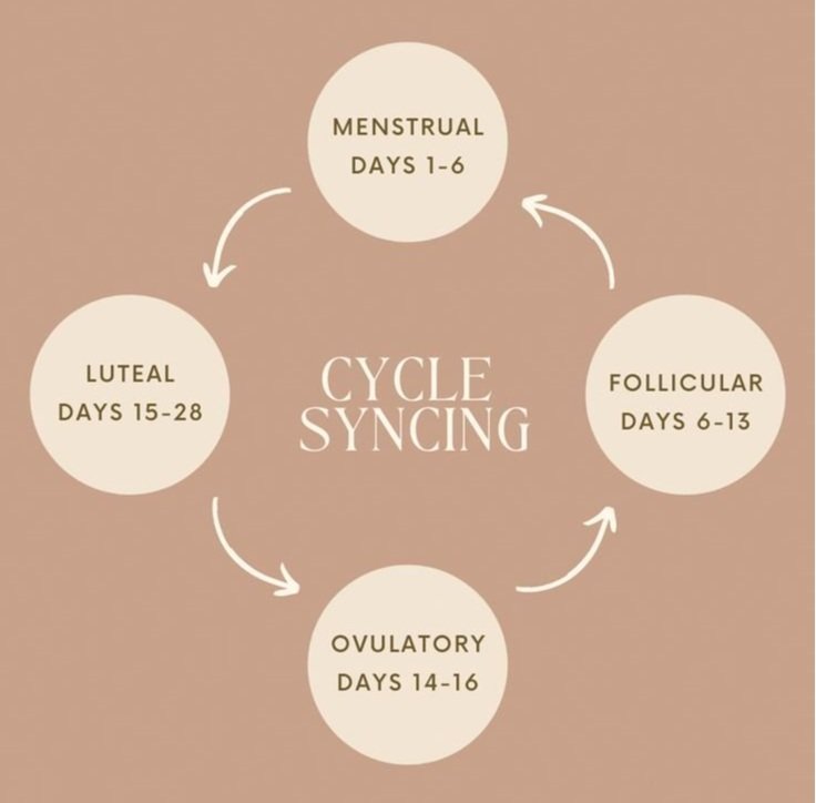 Cycle Syncing — TSH.