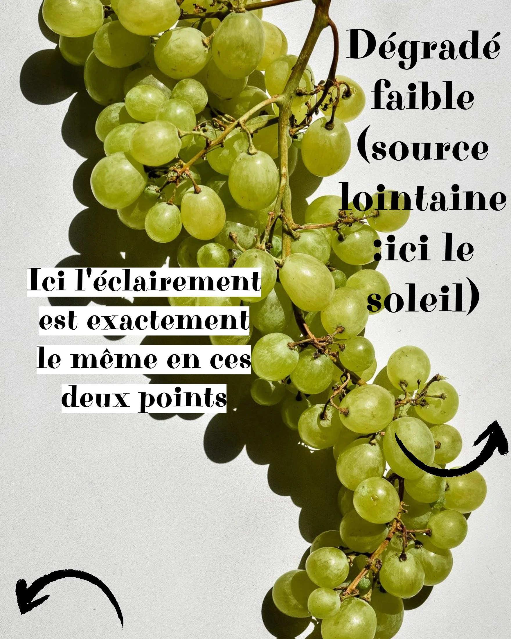 degrade faible exemple photo culinaire