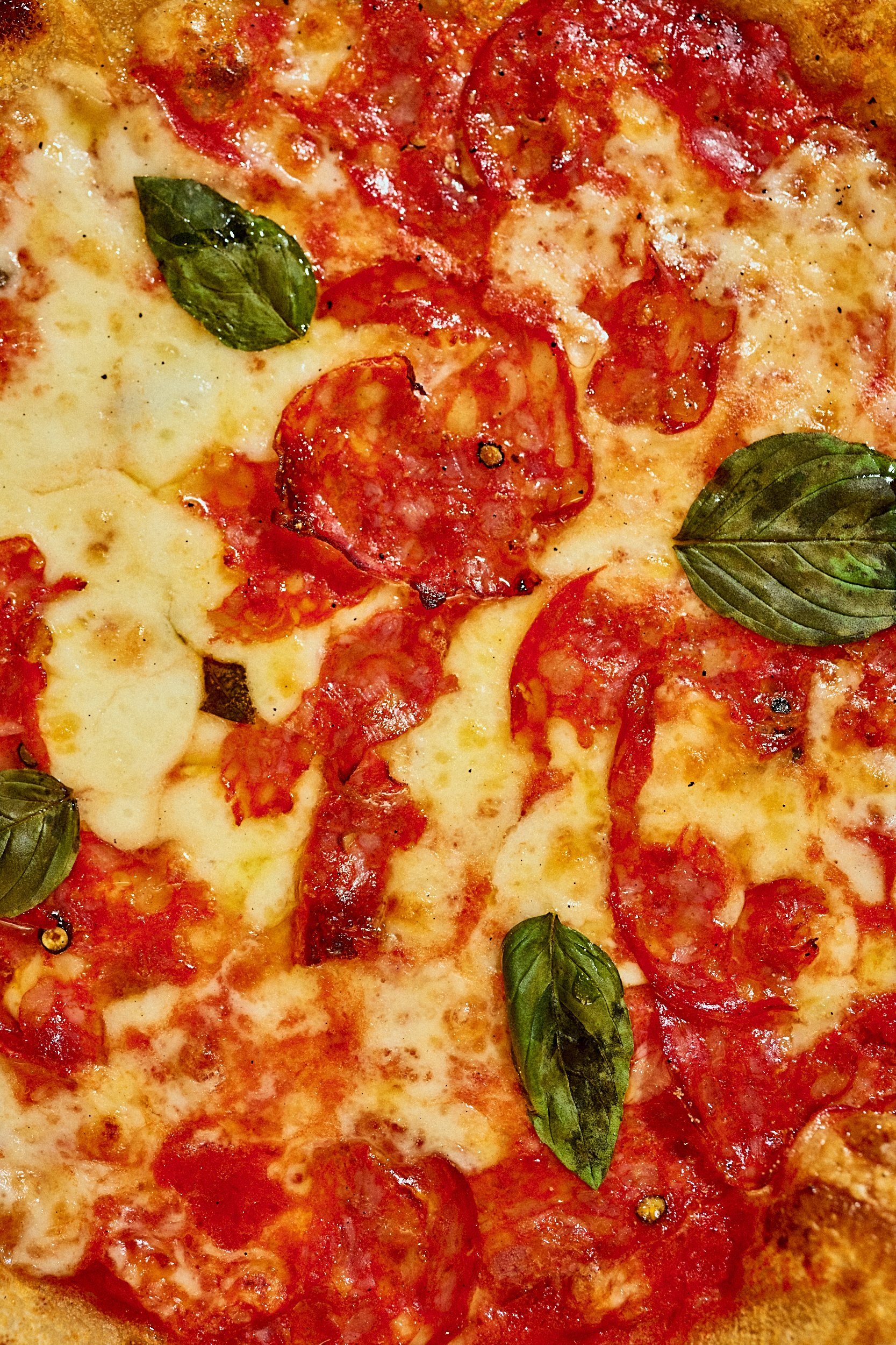 JPEG - 2500 px web Squarespace__NIC4391.png