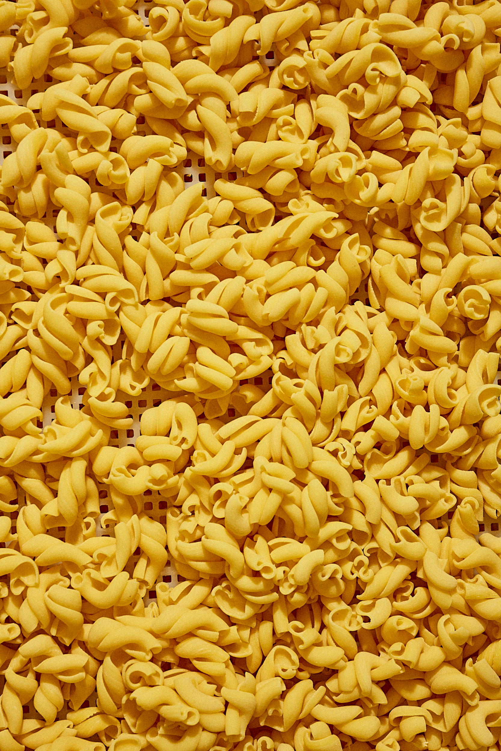 JPEG - 2500 px web Squarespace__NIC3920.png