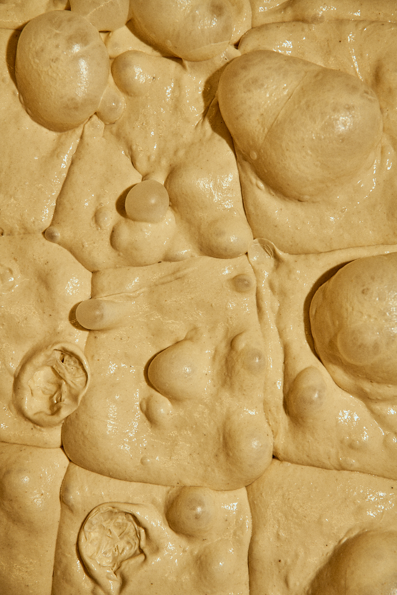 JPEG - 2500 px web Squarespace__NIC4170.png