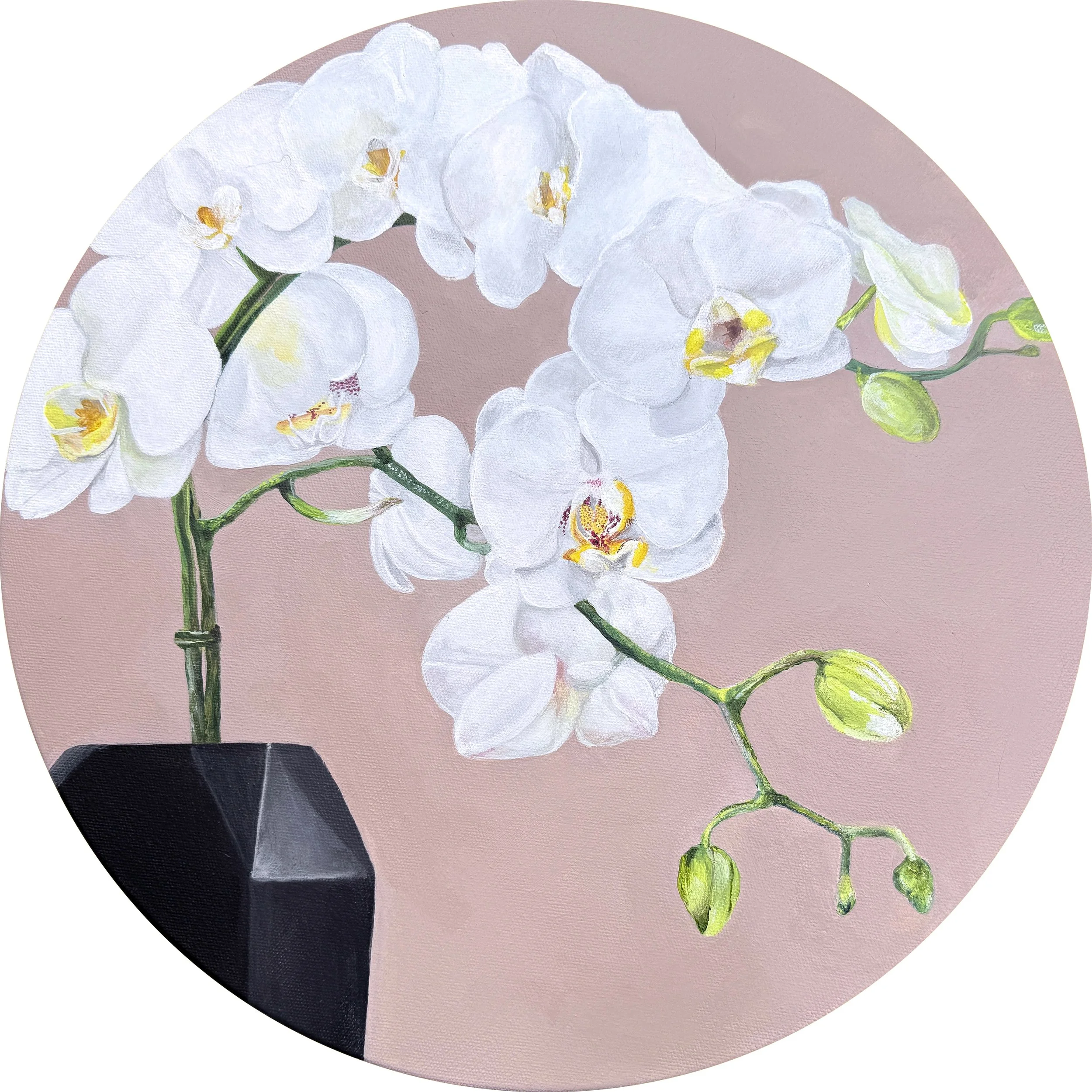Orchids | 16"round