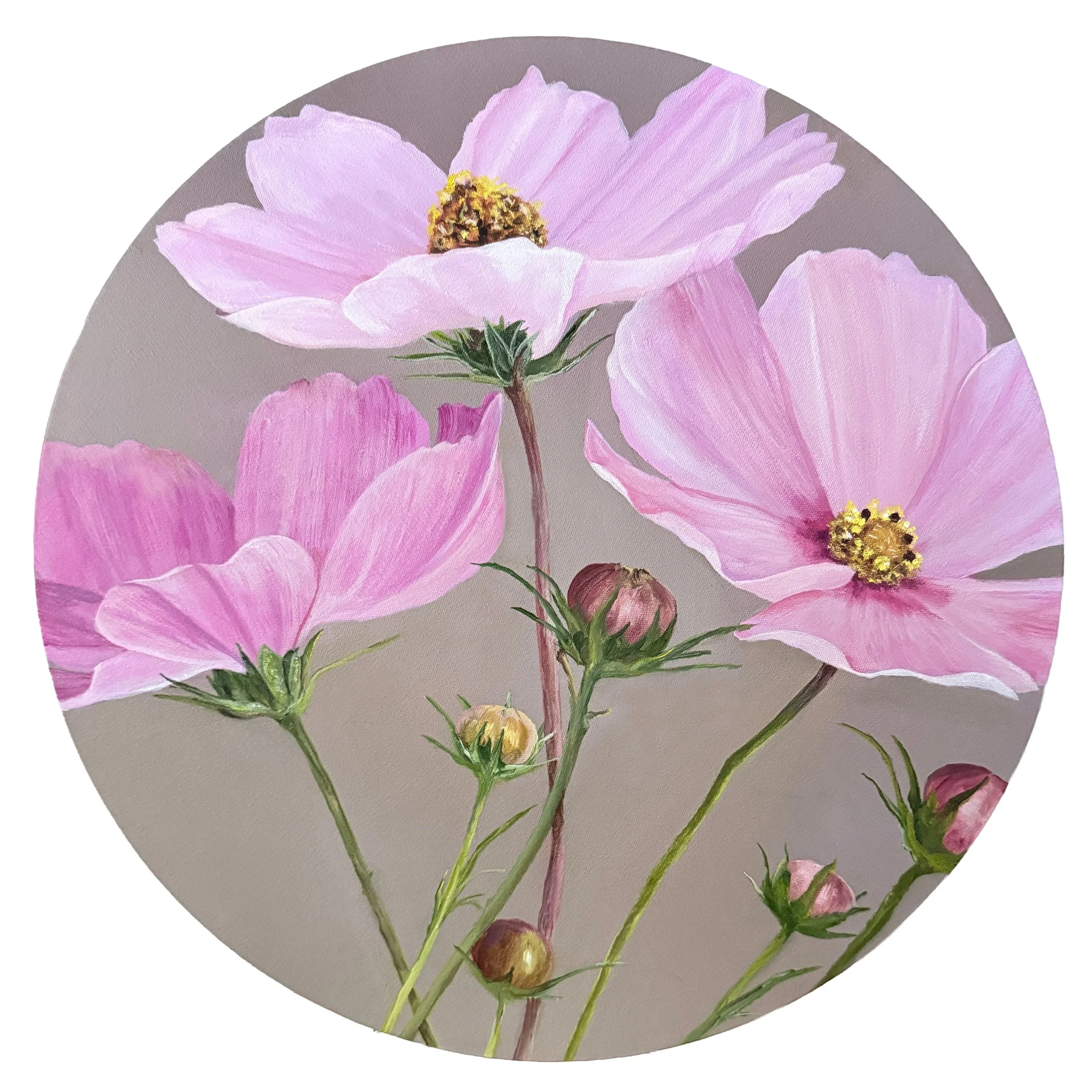 Cosmos | 20" round