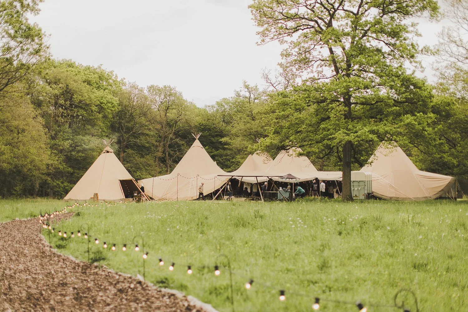 Dibbins Wood: A Woodland Wedding Venue in Northamptonshire