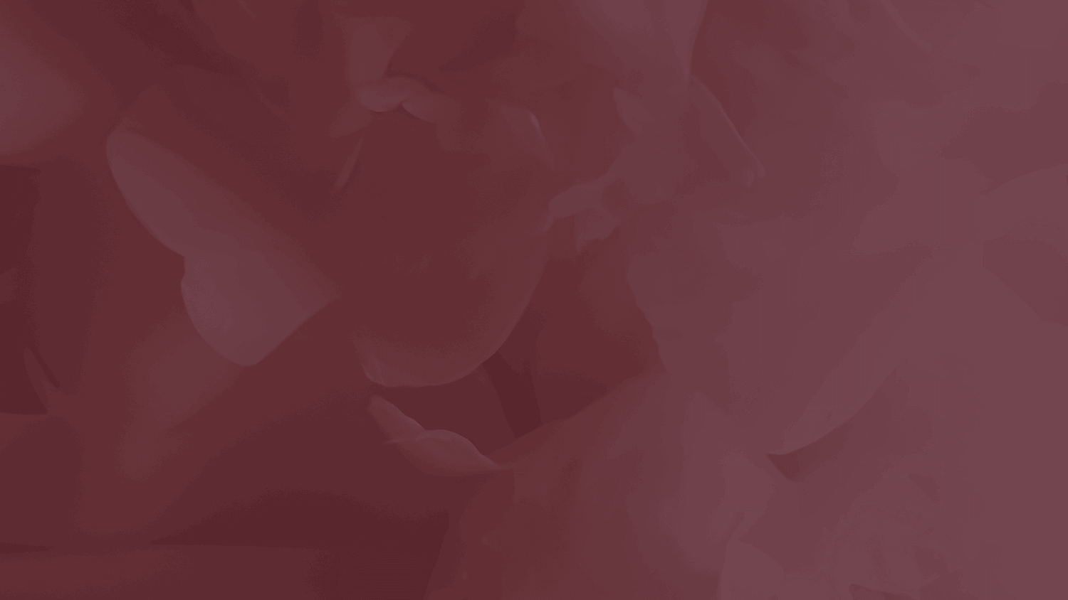 Floral Background for the Testimonial