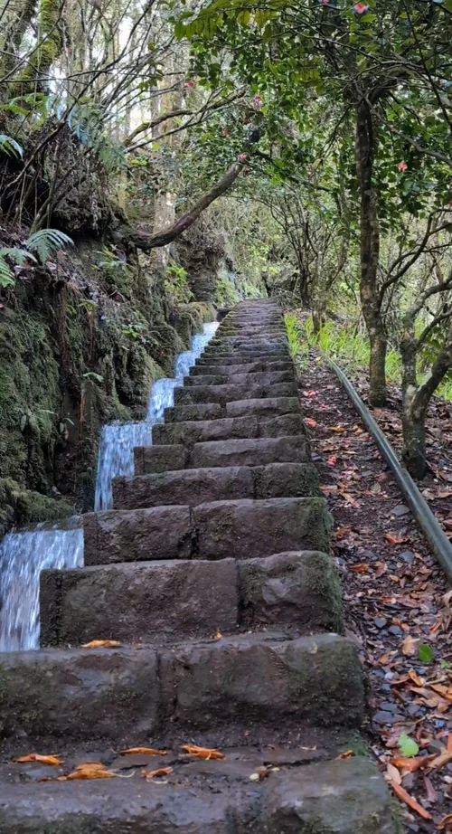 Madeira Travel Guide: Hiker’s Paradise — vitamin.vino