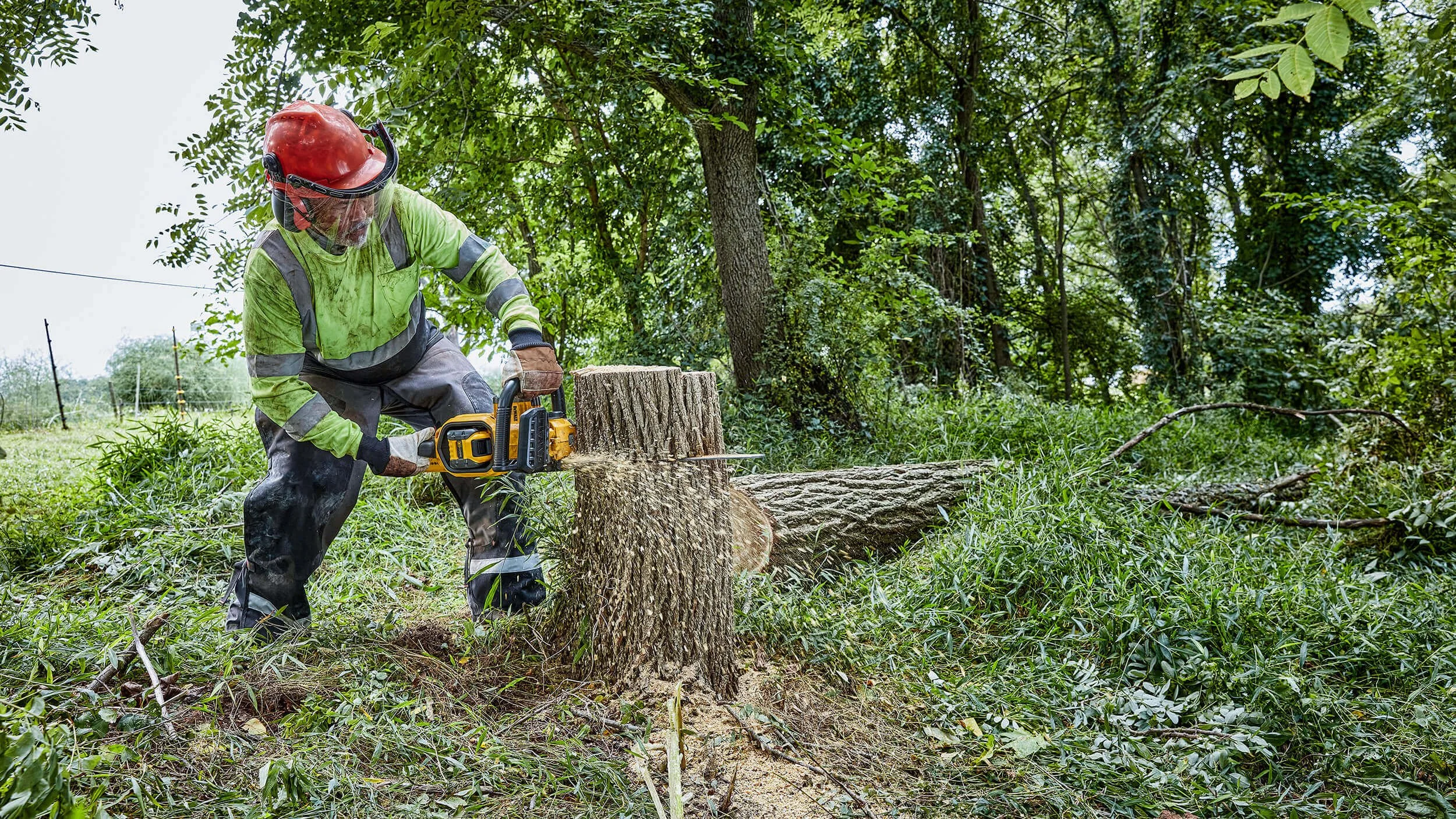 cordless-chainsaw-cutting-down-tree-02.jpg