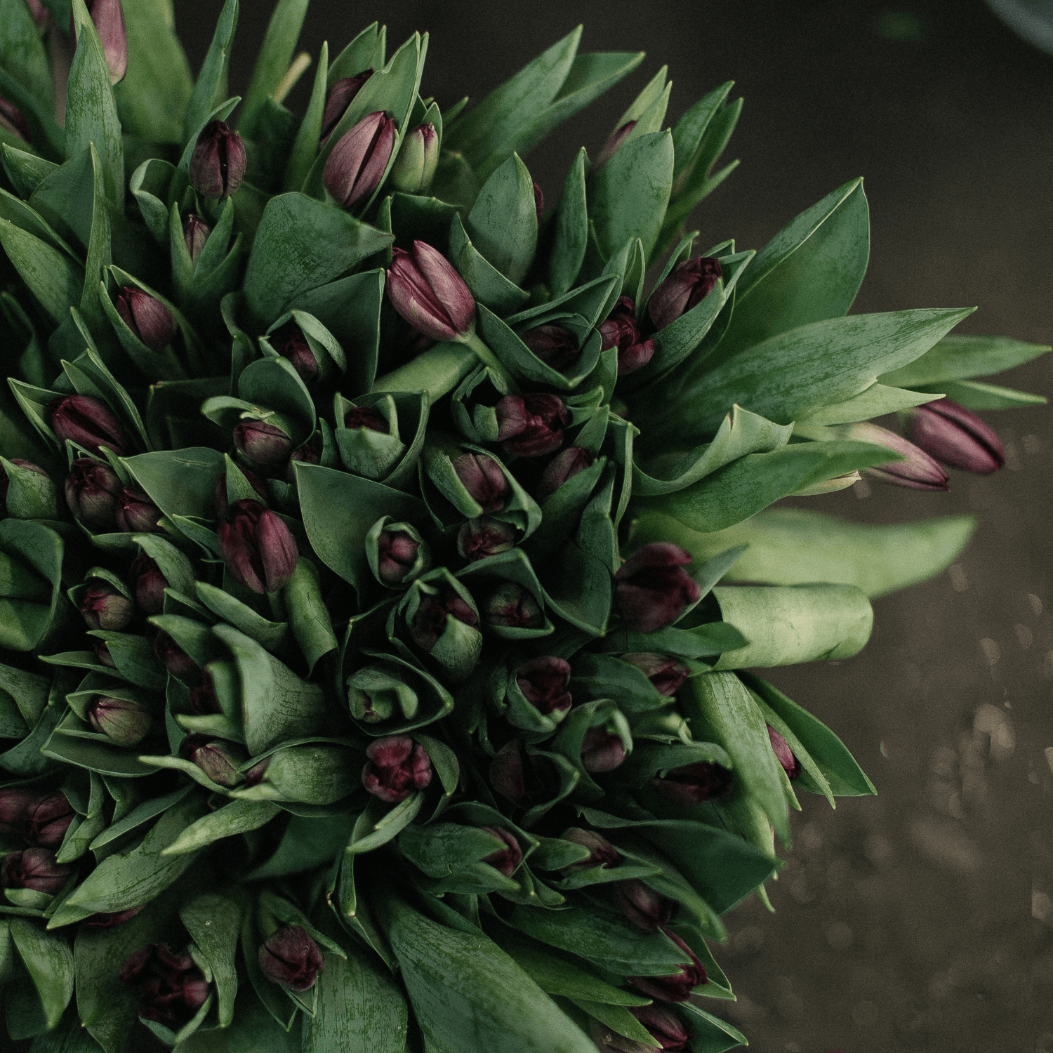 Sourcing Your Florals Locally