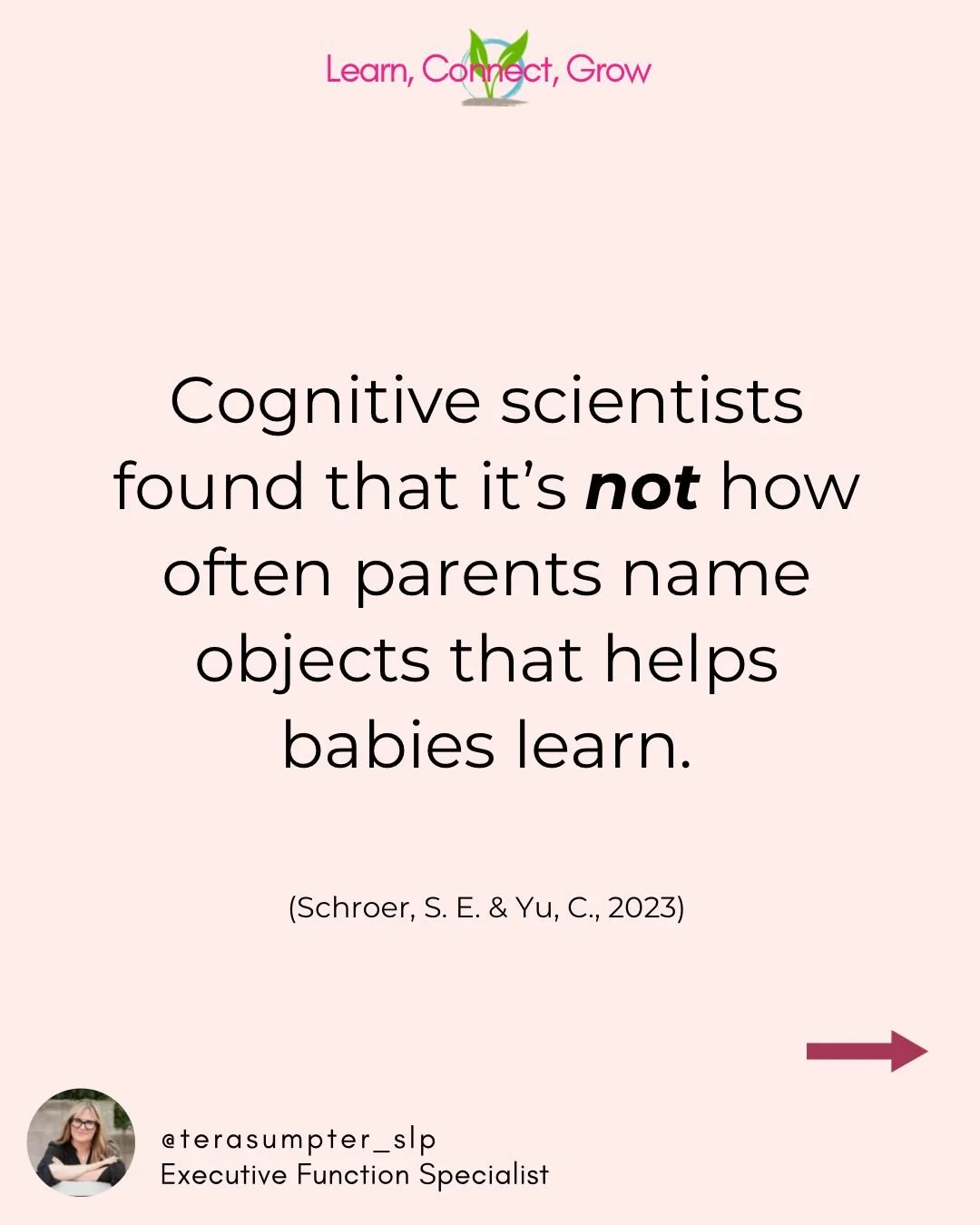 Learning doesn&rsquo;t come from more labels or more content.

It comes from focused attention.

That process, tuning in, holding the idea, making meaning, is executive function.

If you want learning to stick, build Executive Function.
