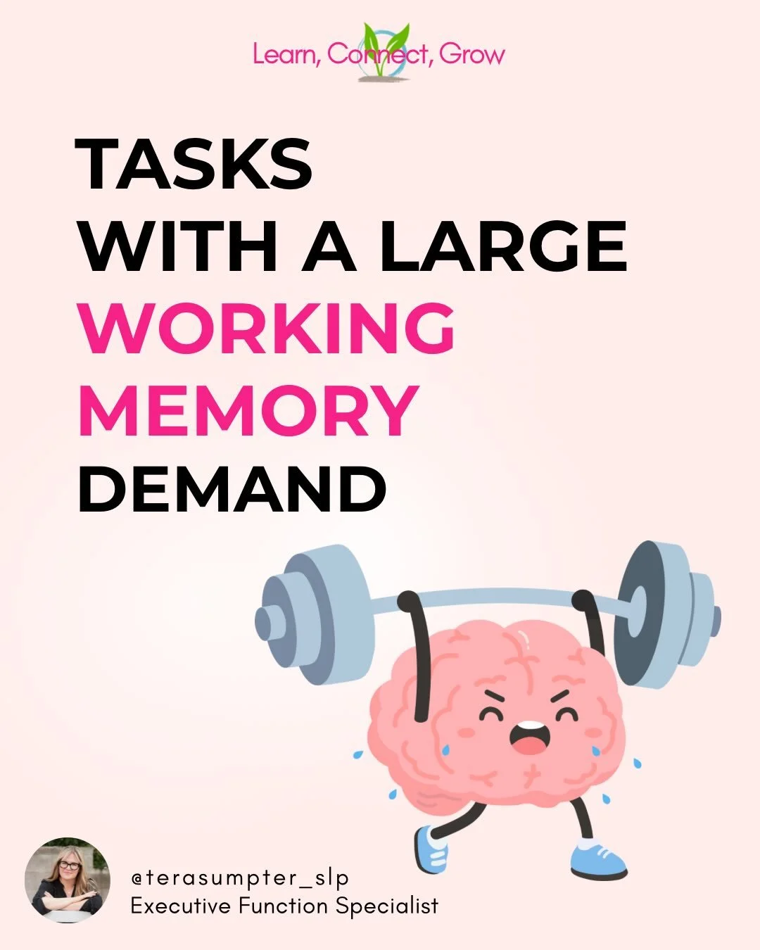 Working memory is an extremely important and complex part of our executive function system. It allows us to hold information in the short term, just about 10-15 seconds, so that the &ldquo;workers&rdquo; of the brain can decode and operate on the inf