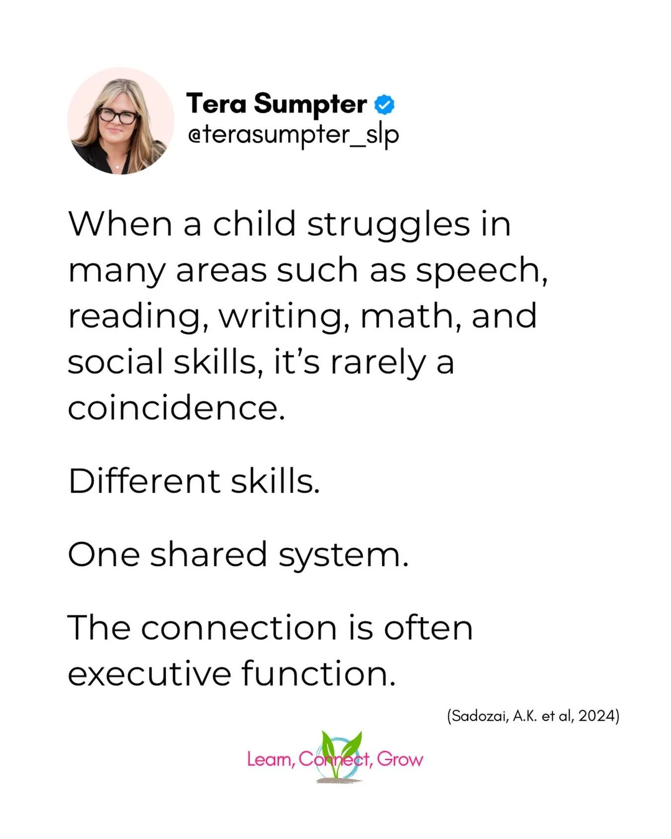 It&rsquo;s not uncommon for children with executive function needs to carry a long list of diagnoses.

Rather than viewing these needs in isolation, we have to look at what connects them.

That connection is often the executive function system.

Exec