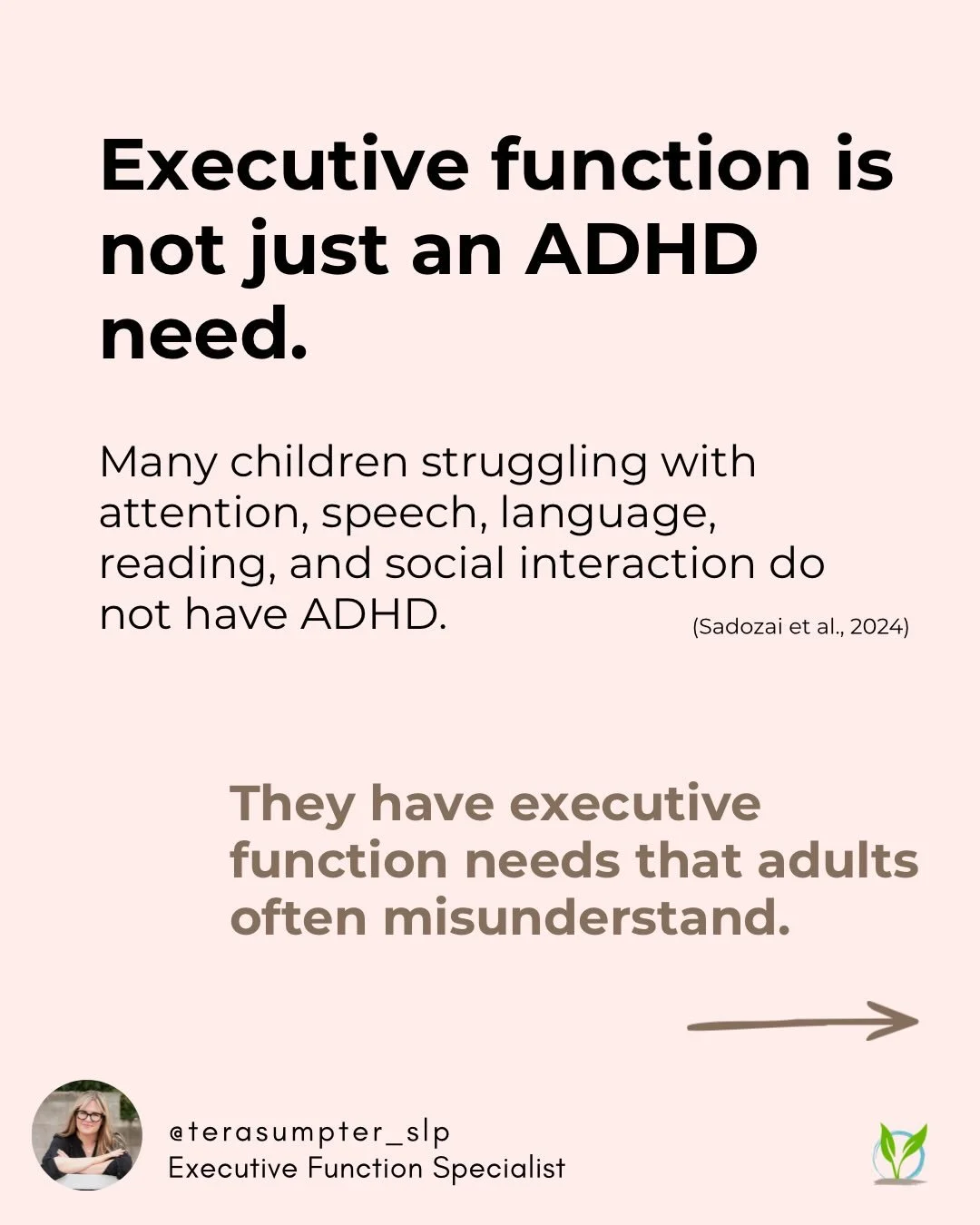 Executive function is often discussed as if it only matters for children with ADHD.

But many children who struggle with learning, communication, and social interaction do not have ADHD.

They have developing executive function systems that may or ma
