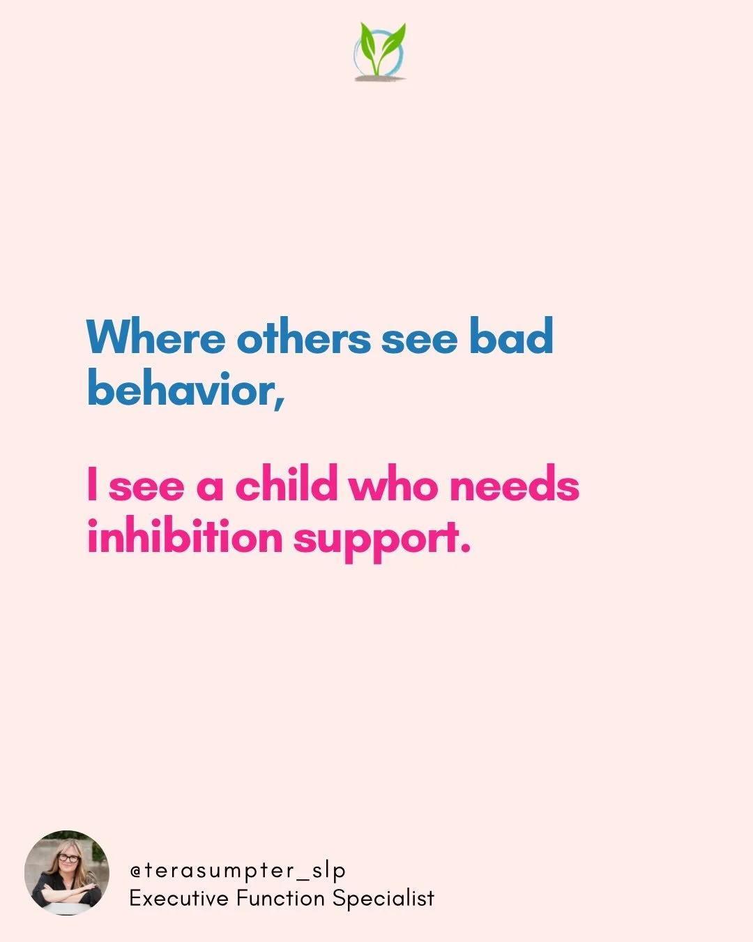 Effective intervention begins with an effective assessment.

It begins with a dynamic assessment that looks beyond standardized scores to analyze patterns of processing.

It begins with an assessment process that meets a child where they are instead 