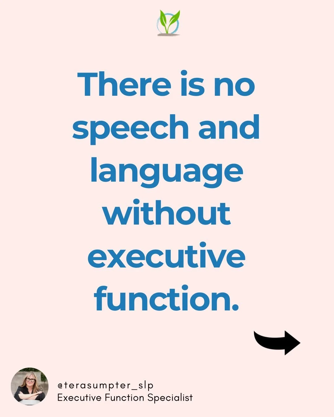 Who wants to join me in having this conversation and screaming it from the rooftops for all to hear??!!

If you&rsquo;ve learned about Executive Function and incorporated it into your work with children, you know what a huge difference it makes. If y