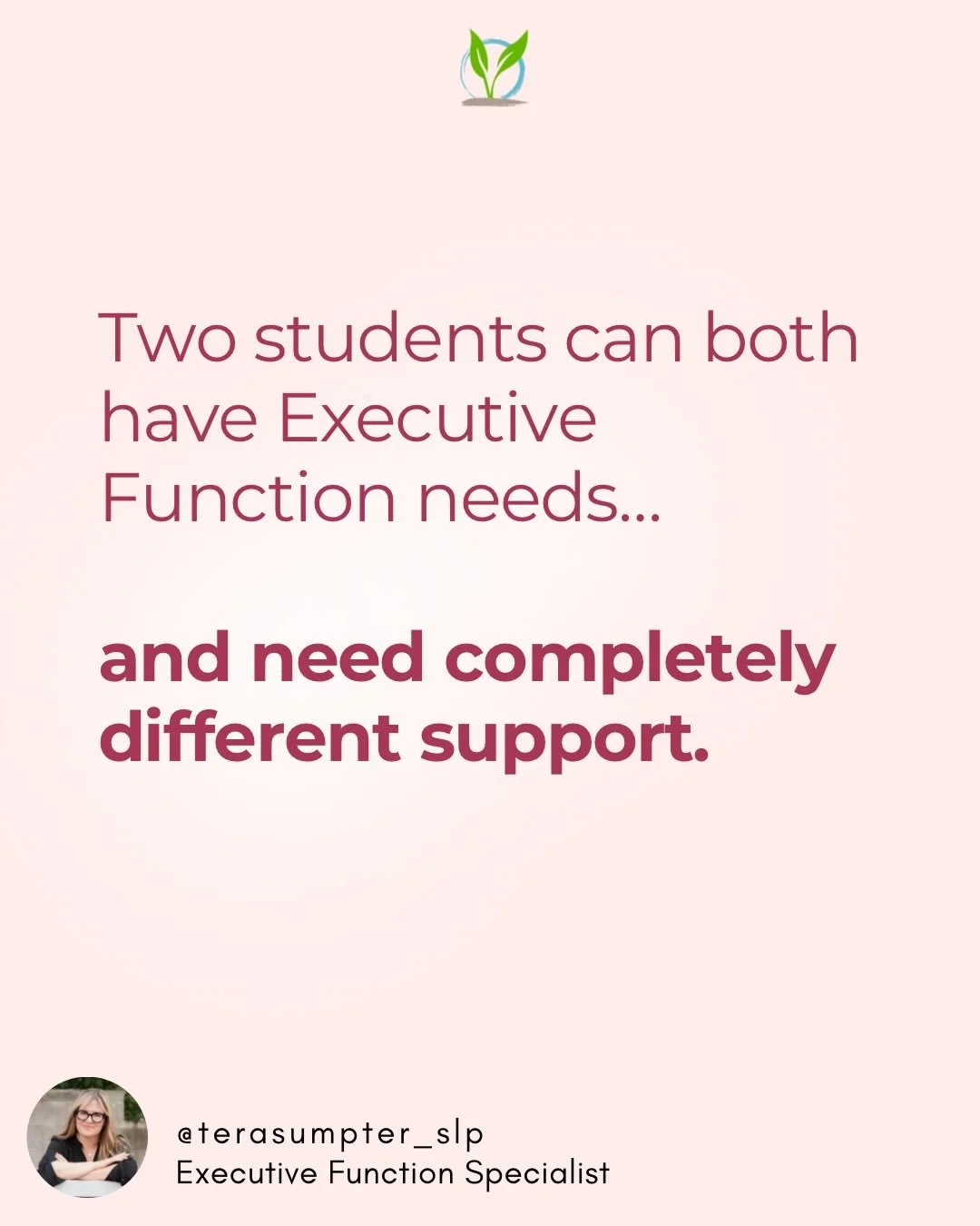 Two students both &ldquo;have EF needs&rdquo;&hellip; but one can&rsquo;t focus and the other can&rsquo;t plan.

Yet they&rsquo;re often given the same support.

That&rsquo;s the problem.

Executive Function isn&rsquo;t one thing. It&rsquo;s a system
