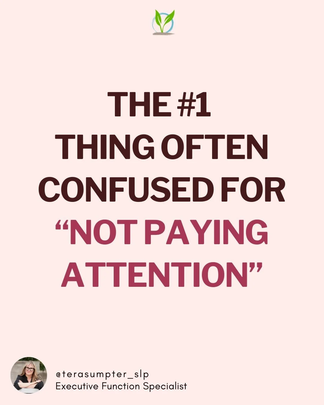 PAY ATTENTION!

Many of our students who appear to be inattentive have weak working memory.

When working memory is weak, it can&rsquo;t hold information in mind very long. So a child appears to jump from thought to thought quickly.

To someone who d