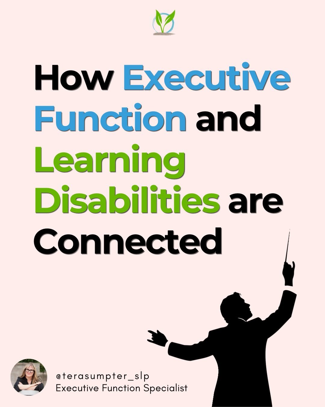Children can present with learning needs in the following ways:

🔹 Learning disability only
🔹 Executive dysfunction only
🔹 Combined learning disability and executive dysfunction

💡Research has shown that the students who are most often identified