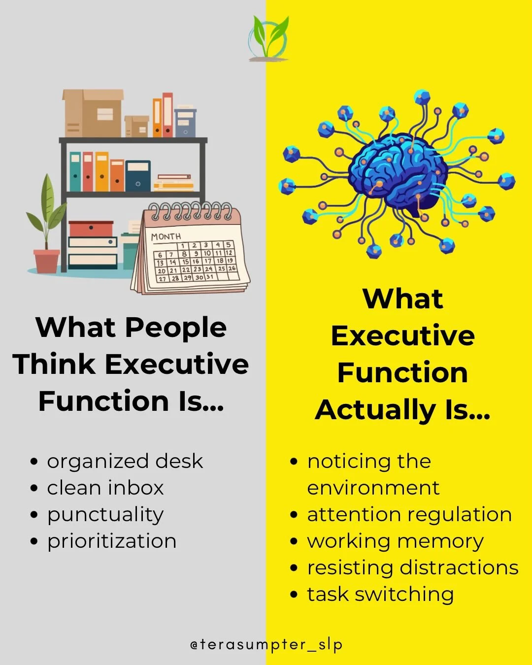 When people hear &ldquo;executive function difficulties,&rdquo; they often picture disorganization, missed deadlines, poor planning, or lack of motivation.

But those are the visible outcomes, not the underlying process.

Executive function is largel