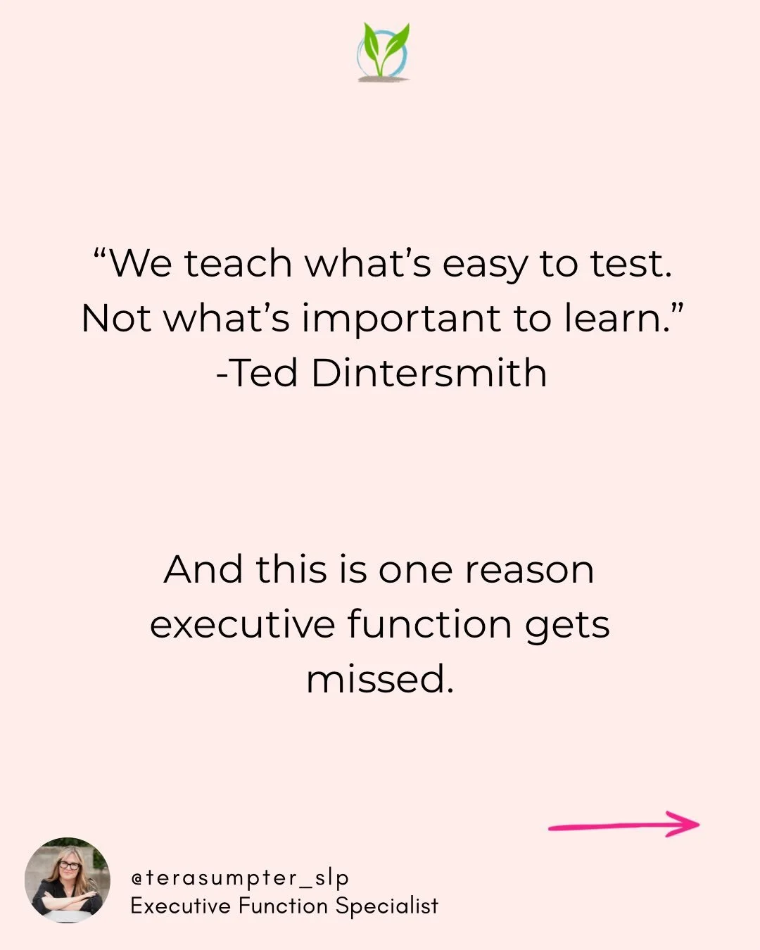 &ldquo;We teach what&rsquo;s easy to test. Not what&rsquo;s important to learn.&rdquo; -Ted Dintersmith

That one stopped me.

Because so much of executive function lives in the gap that no worksheet or standardized test can touch.

A child might ans