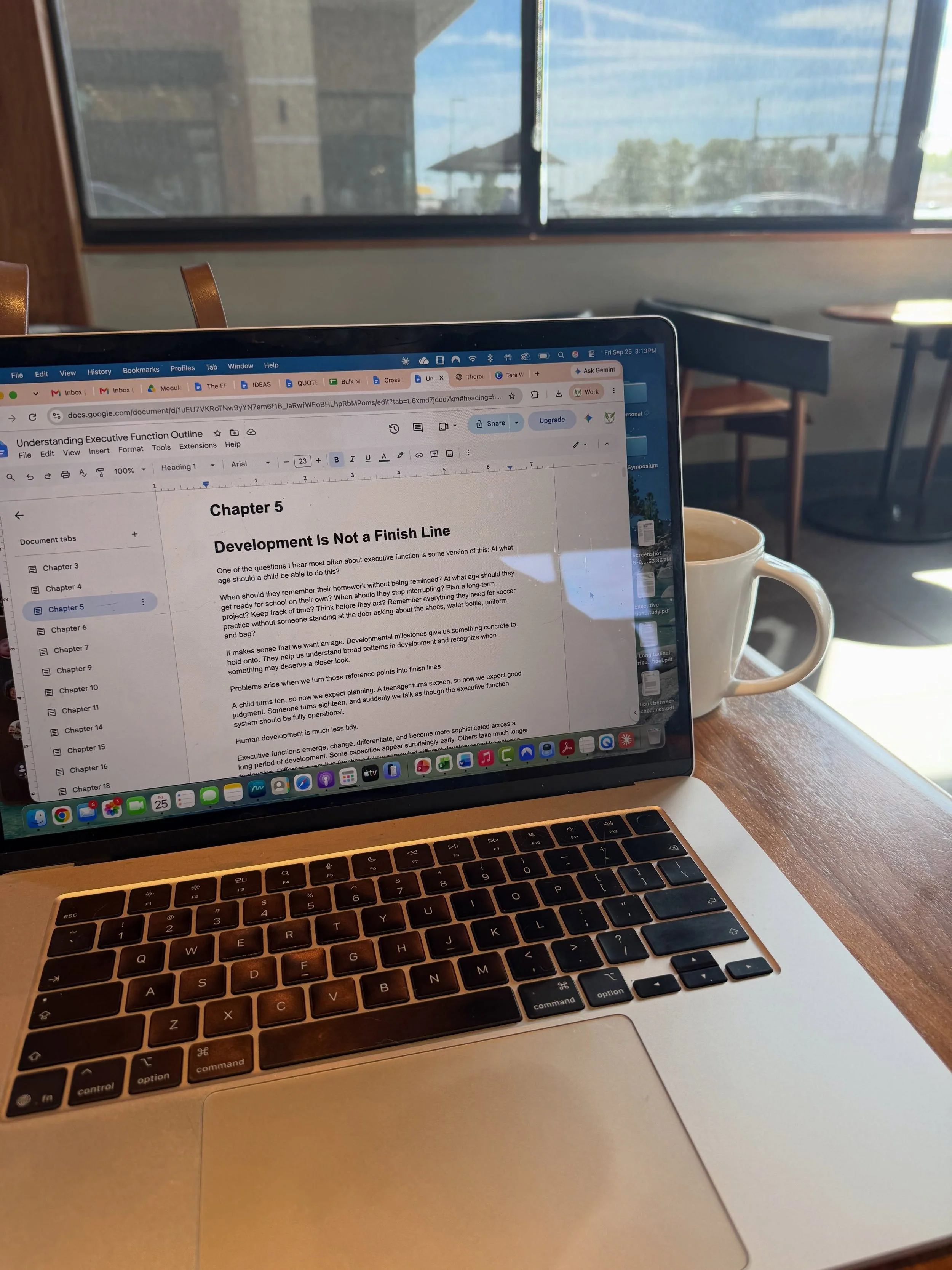I&rsquo;ve been wrestling with my second book for six years. I&rsquo;ve rewritten it about 5 times. I have thousands of pages spread across numerous Google Docs to show for it. 

But I could never get it on paper the way it was in my head. Or how it 