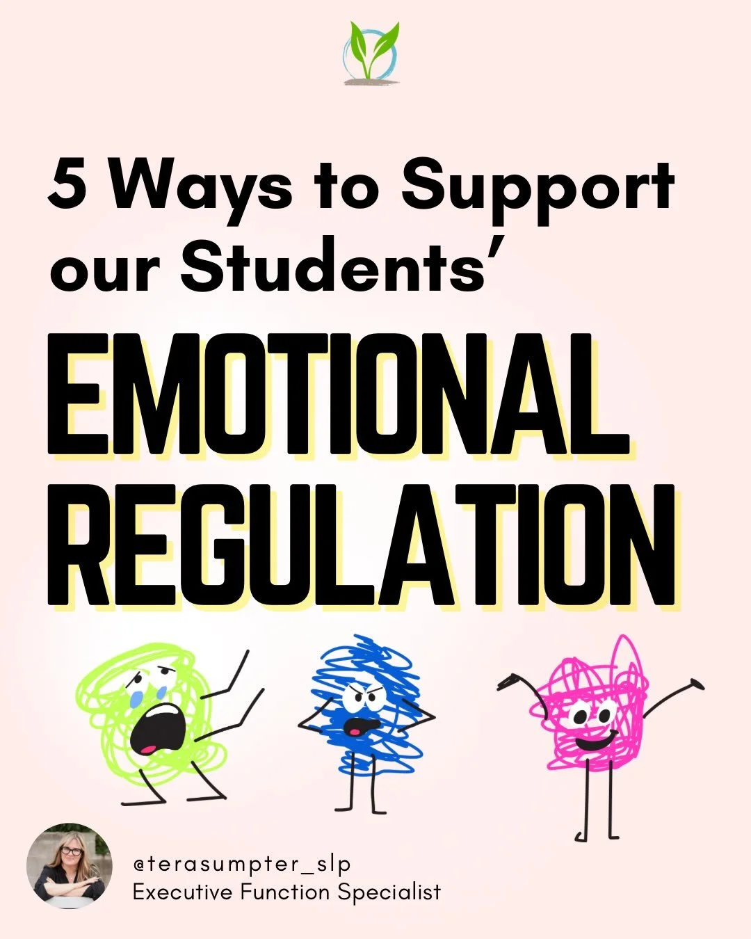 The executive function system is a vast one. It regulates our thoughts, perceptions, actions and emotions (McCloskey et al, 2009). Emotional regulation becomes a need for many students with EF needs.

We do not all experience emotions in the same way