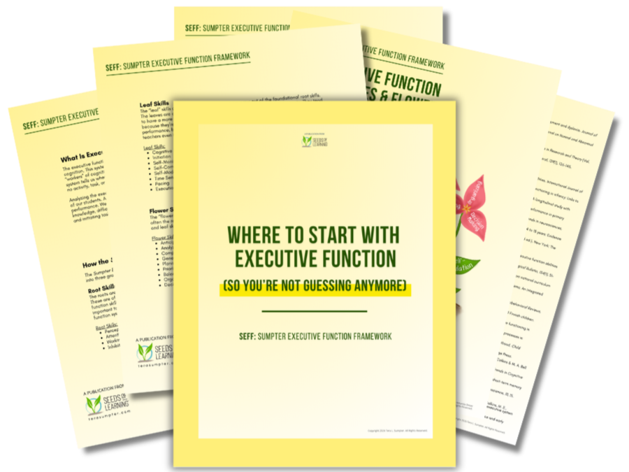 Where to Begin with Executive Function free resource