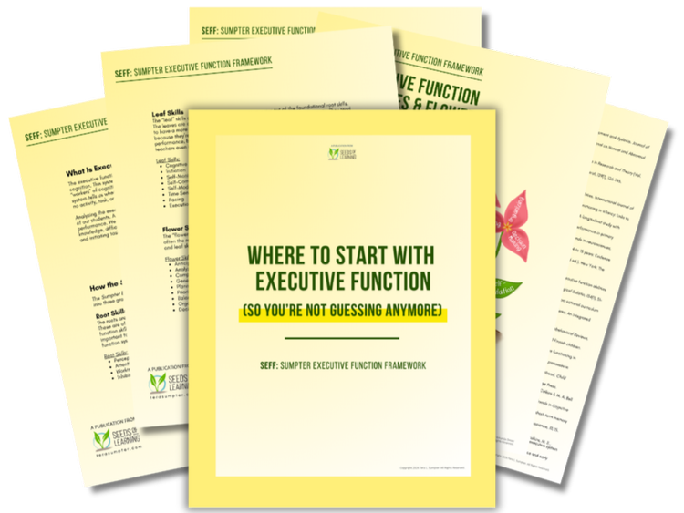 Where to Start with Executive Function free guide