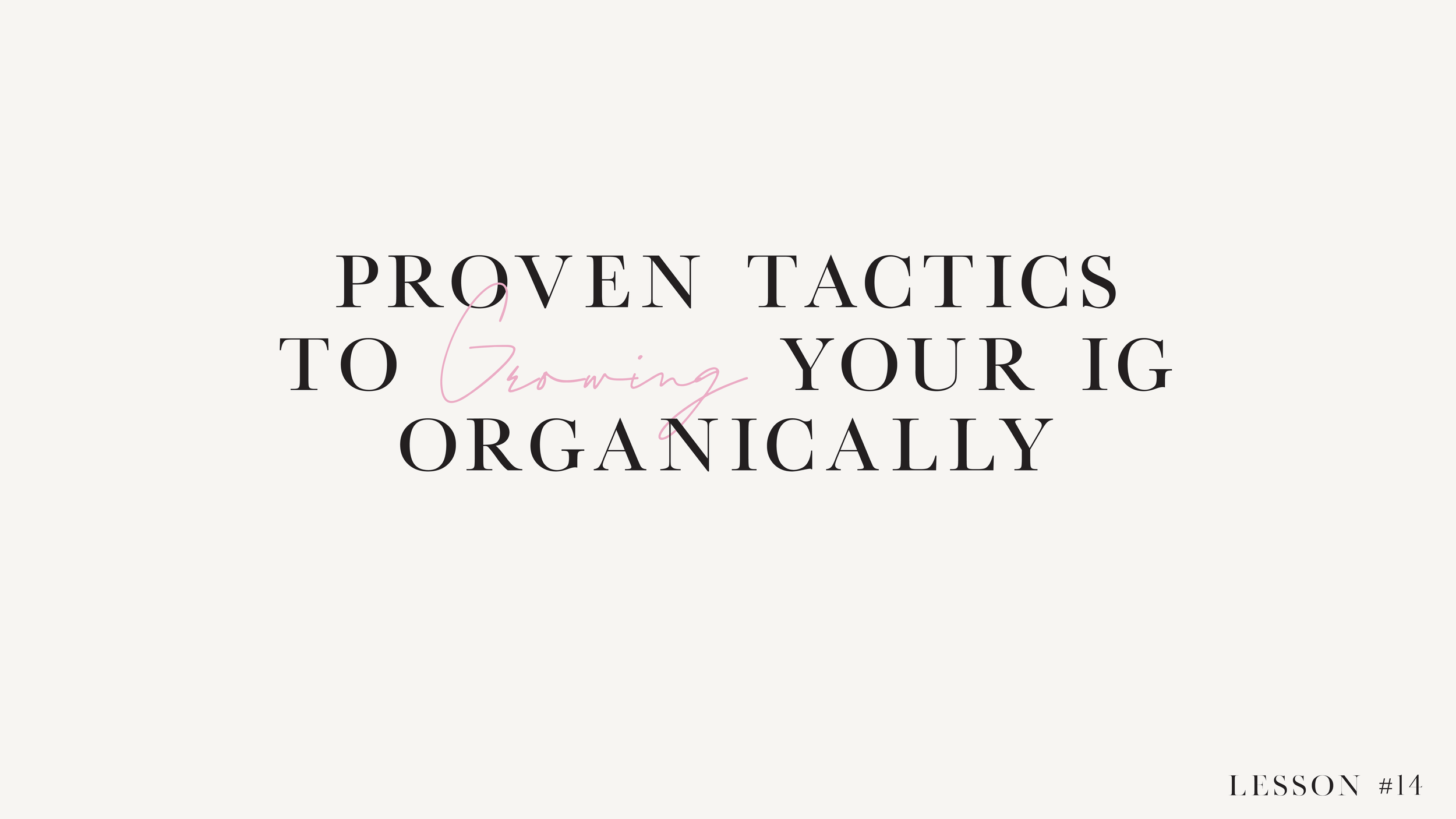 LESSON 14: Proven Tactics To Growing Your IG Organically