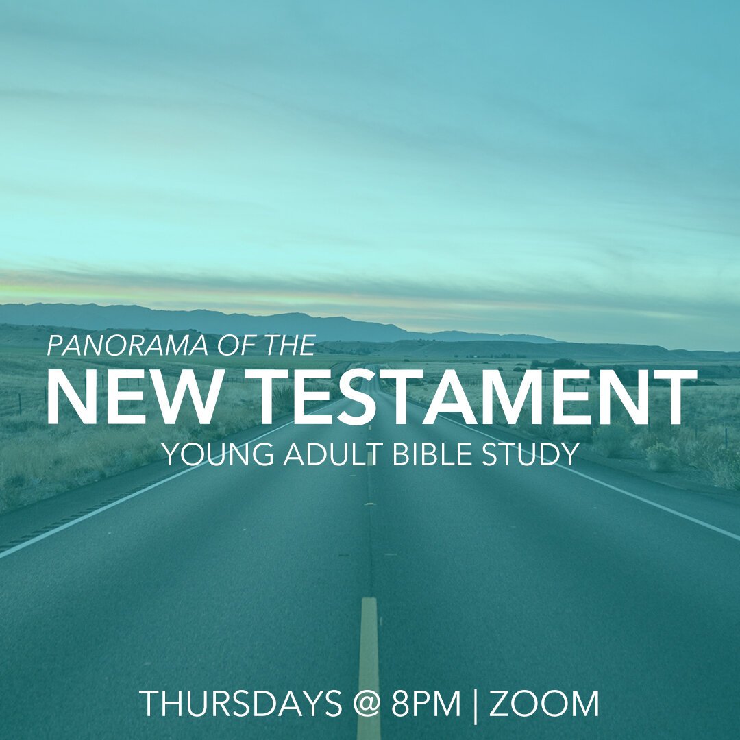 Online Youth Sunday School Series | New Testament Panorama